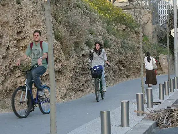 גאיה טראוב (שוקה כהן) גאיה טראוב (שוקה כהן)