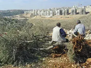 תערוכת רחוב נגד גדר ההפרדה ( activestills.org) (מערכת וואלה! NEWS)