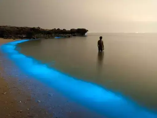 צילומים של הנשיונל ג'יאוגרפיק 2015 (אתר רשמי , National Geographic) צילומים של הנשיונל ג'יאוגרפיק 2015 (אתר רשמי , National Geographic)
