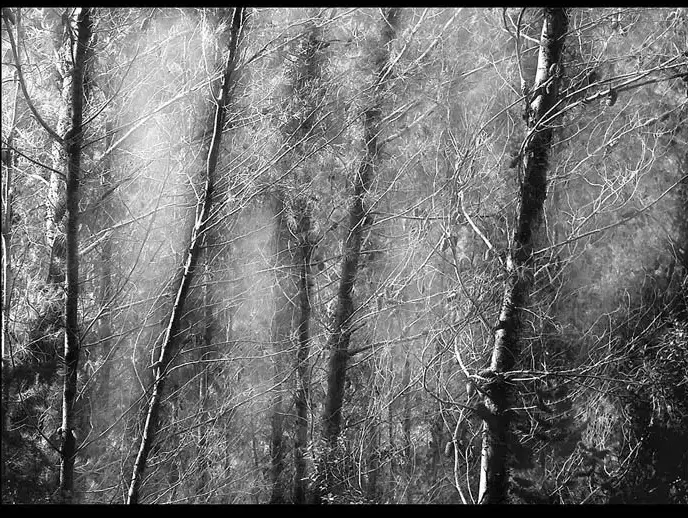 צילום של דניאל צ'צ'יק מתוך Still Winter (יח"צ) צילום של דניאל צ'צ'יק מתוך Still Winter (יח"צ)