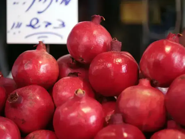 רימון (יסמין סויפר) רימון (יסמין סויפר)