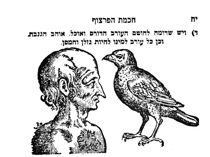 חכמת הפרצוף (יח"צ) חכמת הפרצוף (יח"צ)
