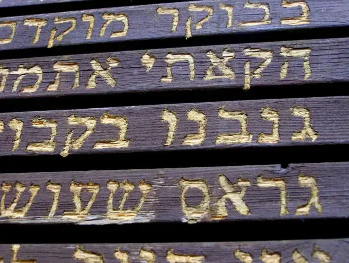 ויצ"ו חיפה (יח"צ , דרור מילקוביץ) ויצ"ו חיפה (יח"צ , דרור מילקוביץ)