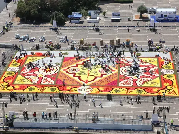 שטיח פרחים בכיכר רבין בת"א (עירא זליכה) שטיח פרחים בכיכר רבין בת"א (עירא זליכה)