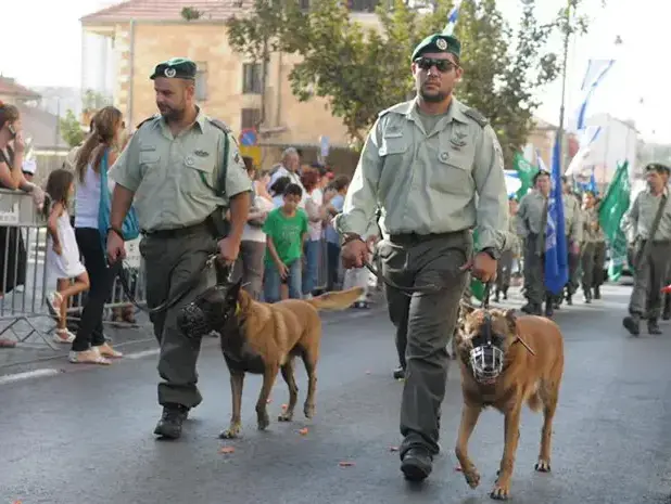 צעדת ירושלים, ספטמבר 2010 (עומר מירון) צעדת ירושלים, ספטמבר 2010 (עומר מירון)