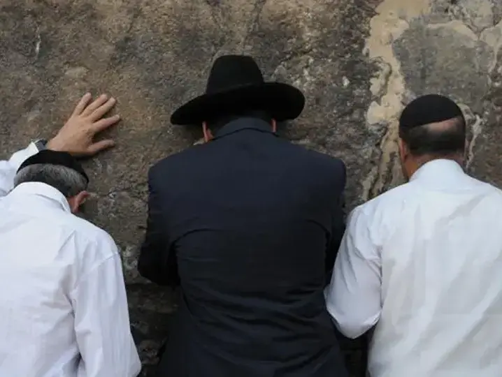 חברון מערת המכפלה (עומר מירון) חברון מערת המכפלה (עומר מירון)