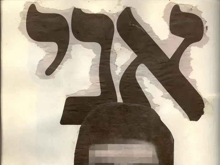 מתוך עבודה של ניר נדלר וחיה הרטוך (יח"צ) מתוך עבודה של ניר נדלר וחיה הרטוך (יח"צ)