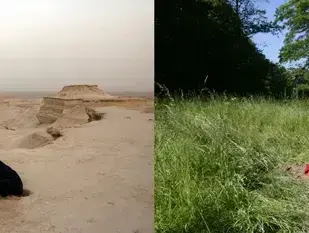 מתוך עבודה של ניר נדלר וחיה הרטוך (יח"צ) מתוך עבודה של ניר נדלר וחיה הרטוך (יח"צ)