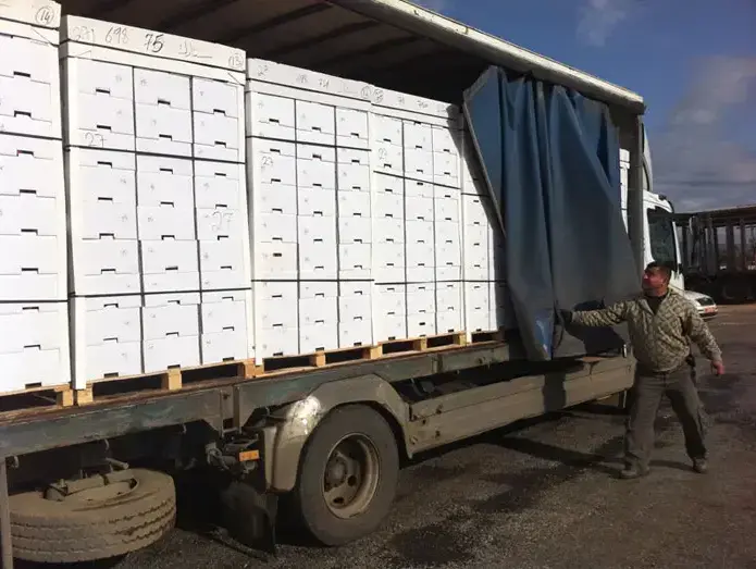 העברת תפוחים מישראל לסוריה במעבר קוניטרה בגולן, פברואר 2011 (ג'יליס , משה אסרף) העברת תפוחים מישראל לסוריה במעבר קוניטרה בגולן, פברואר 2011 (ג'יליס , משה אסרף)
