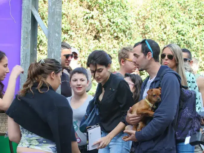 ליטל סמדג'ה (שוקה כהן) ליטל סמדג'ה (שוקה כהן)