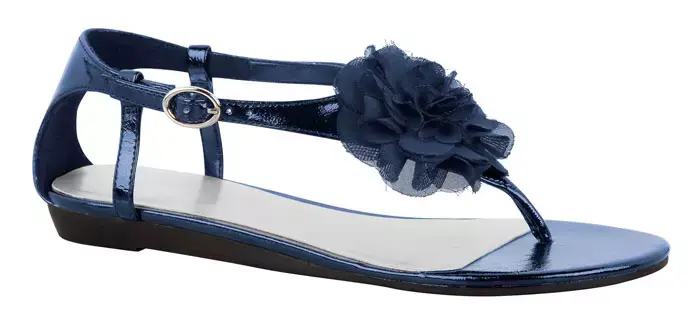 קולקציית קיץ 2011 של נעלי payless (יח"צ) קולקציית קיץ 2011 של נעלי payless (יח"צ)