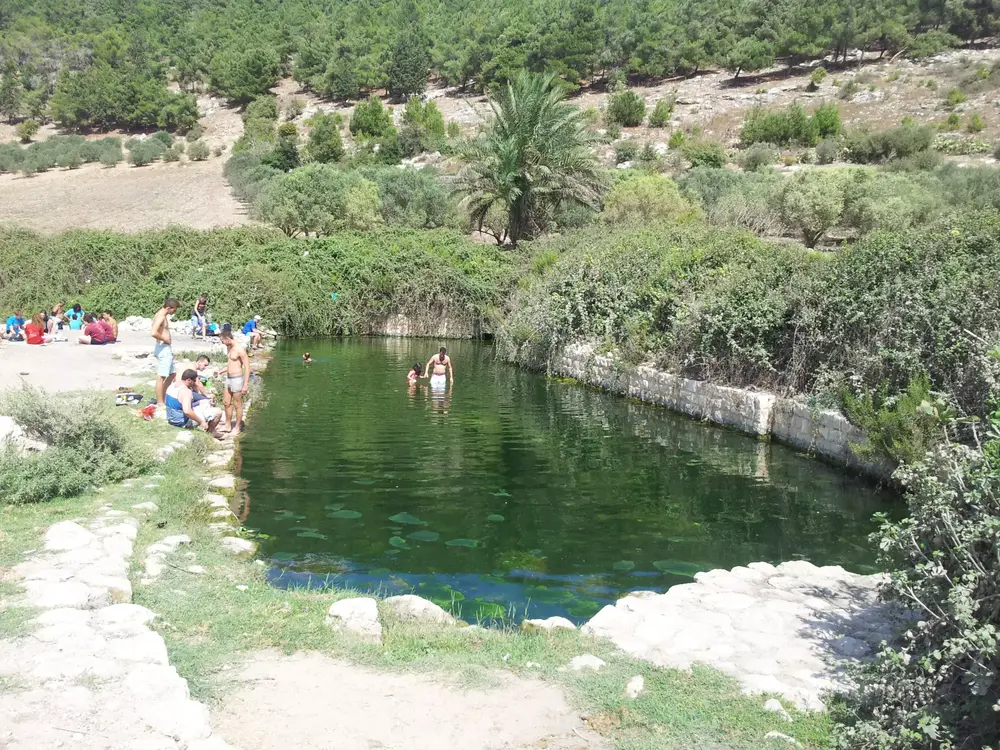 מעיין הסוסים עין יבקע נחל ציפורי (מערכת וואלה! NEWS , זיו ריינשטיין) מעיין הסוסים עין יבקע נחל ציפורי (מערכת וואלה! NEWS , זיו ריינשטיין)