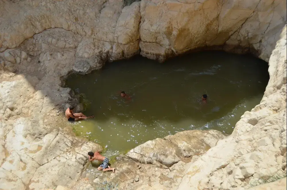 בריכת צפירה (יח"צ , יוני גריצנר) בריכת צפירה (יח"צ , יוני גריצנר)