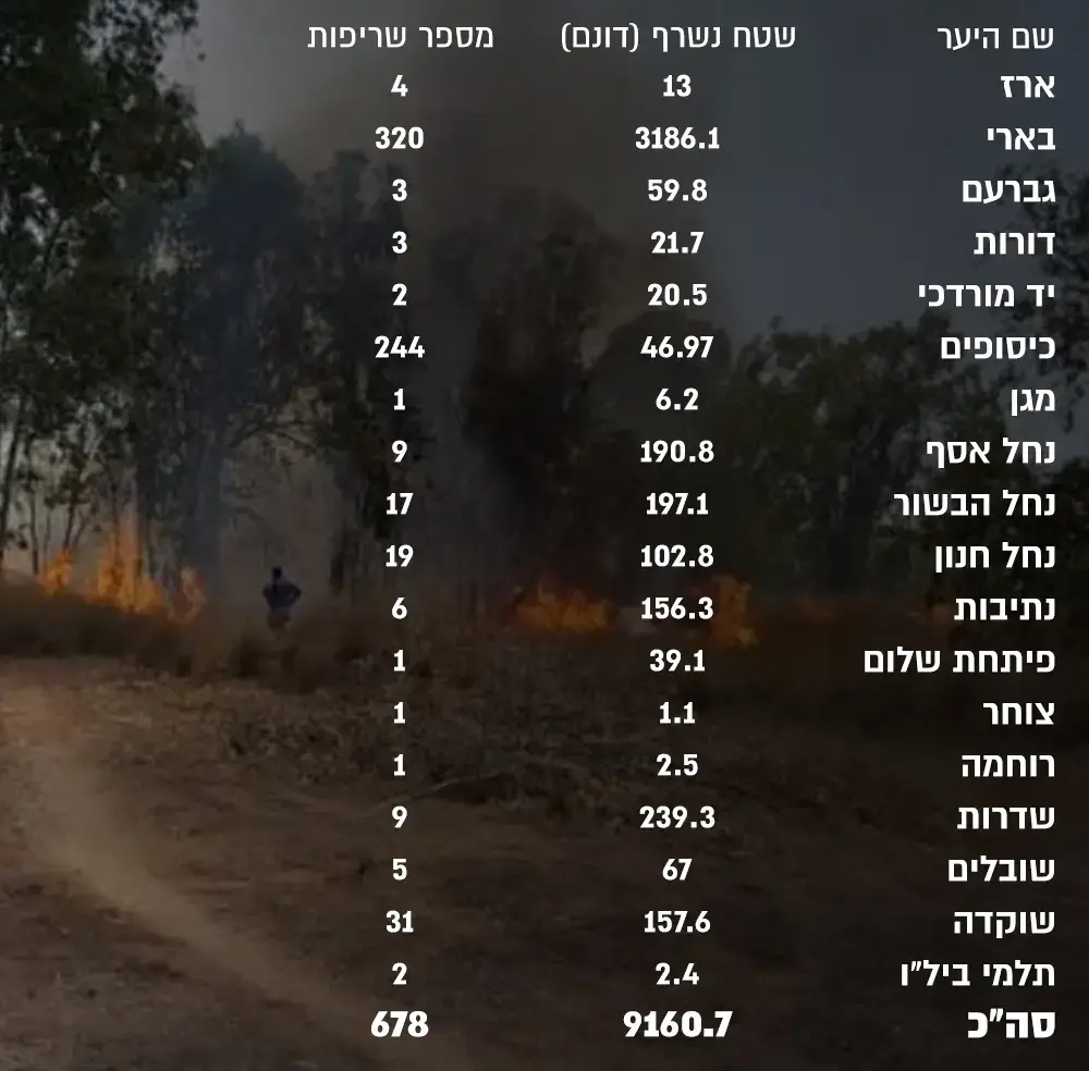 נתוני שריפות (עיבוד תמונה)