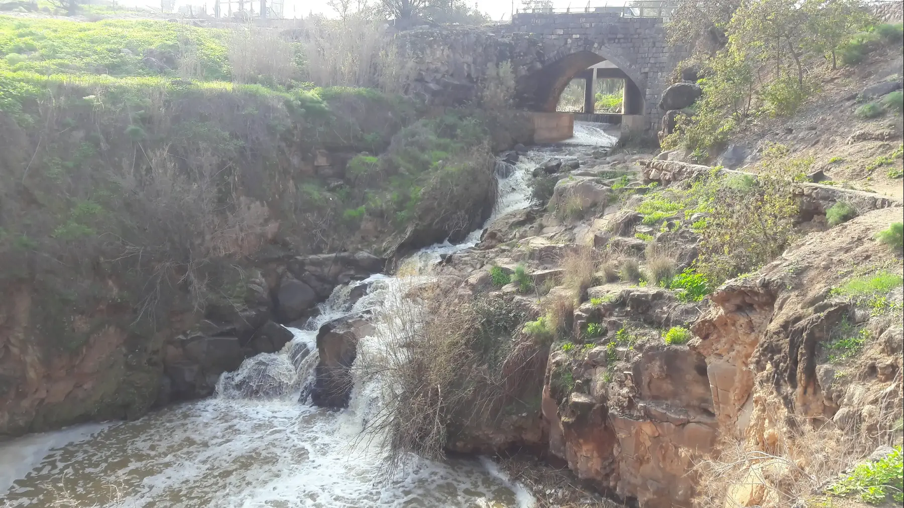 נחל חרוד בזרימה בחורף (זיו ריינשטיין) נחל חרוד בזרימה בחורף (זיו ריינשטיין)