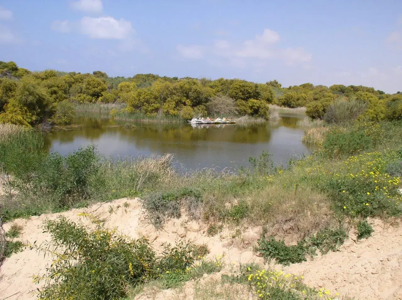 חולות ניצנים (אייל שפירא , איל שפירא) חולות ניצנים (אייל שפירא , איל שפירא)