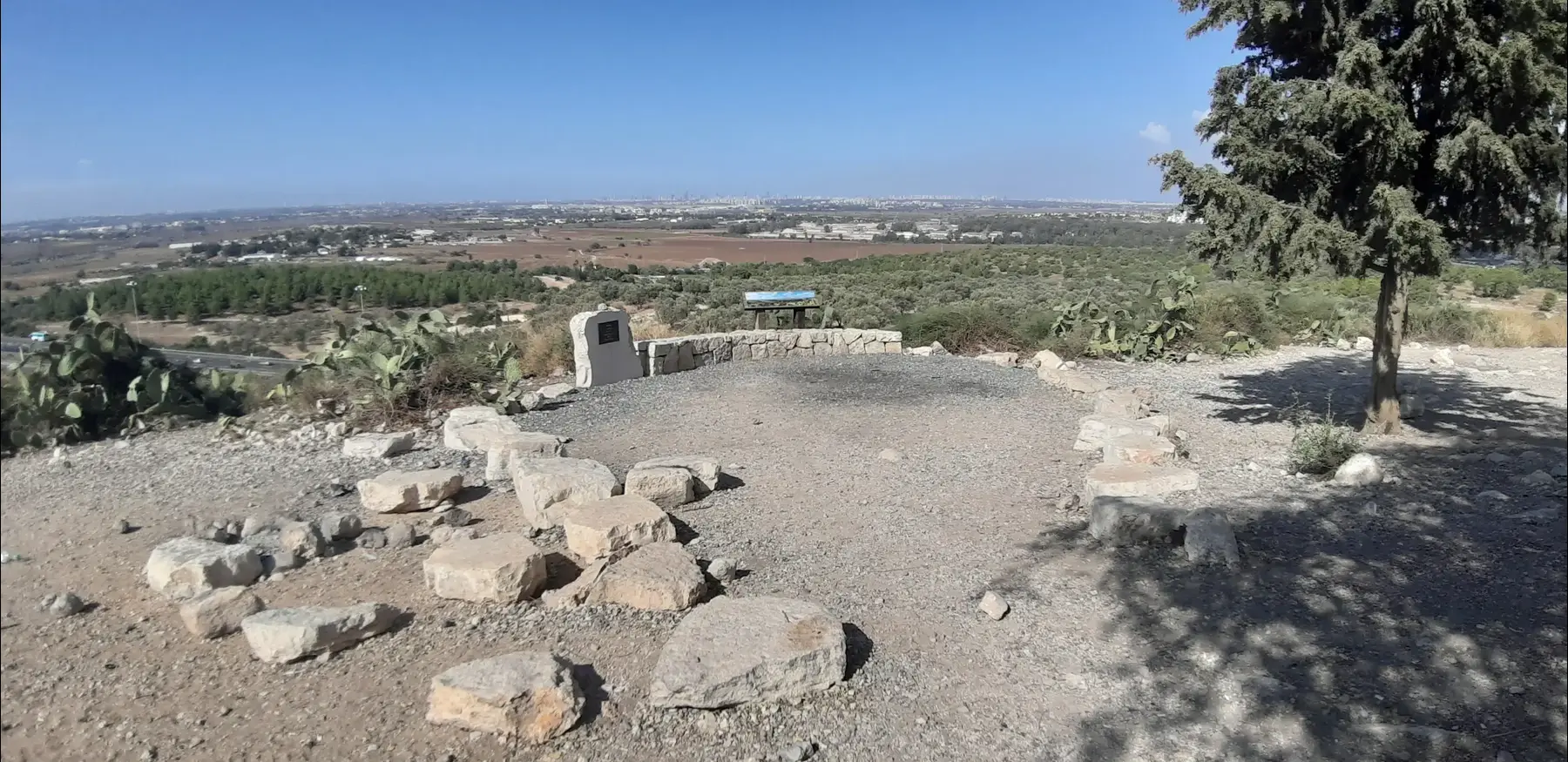 תל חדיד (זיו ריינשטיין) תל חדיד (זיו ריינשטיין)