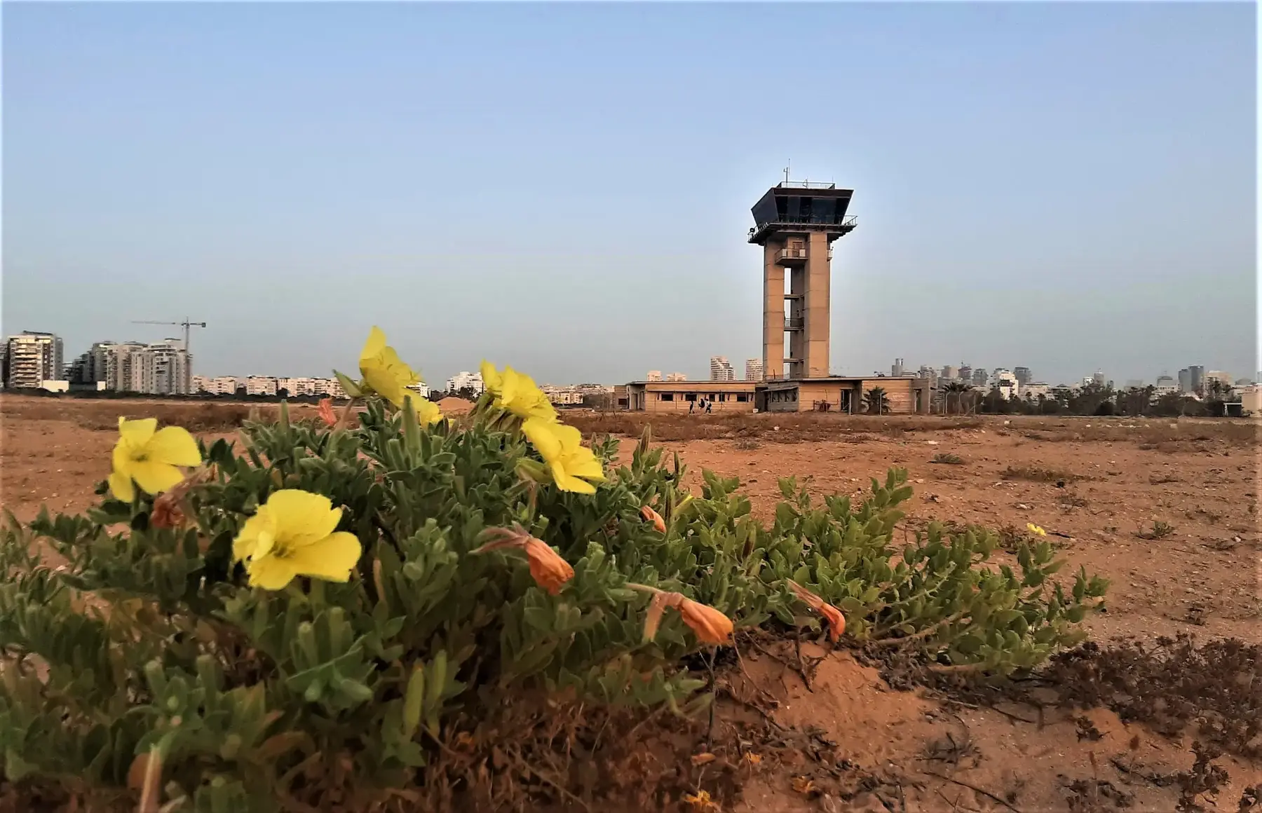 מגדל הפיקוח בשדה דב (זיו ריינשטיין) מגדל הפיקוח בשדה דב (זיו ריינשטיין)