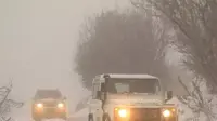 טיול ג'יפים בשלג לאחר הסופה באמת הגולן (מערכת וואלה! NEWS , רמי גלבוע) טיול ג'יפים בשלג לאחר הסופה באמת הגולן (מערכת וואלה! NEWS , רמי גלבוע)