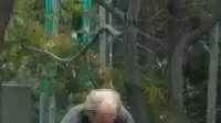 עמותות חרדיות (יח"צ , יד אליעזר)