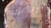 בשר זז בשוק (צילום מסך) בשר זז בשוק (צילום מסך)