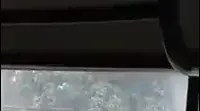 נפצע בצורה אנושה
צעיר בן 22 טיפס על חומה לעבר מתחם
האריות והותקף ע"י אריה ולביאה (רויטרס)
