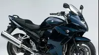 סוזוקי בנדיט GSX 1250 FA (אתר יצרן)