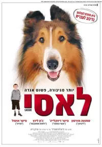פוסטר הסרט לאסי בעברית