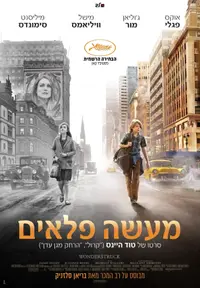 פוסטר הסרט מעשה פלאין