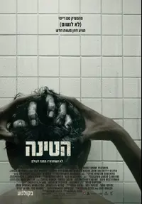 פוסטר הסרט הטינה