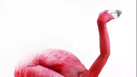 איפור גוף פלמינגו (אתר רשמי , www.gesine-marwedel.de)