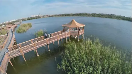 הגשר הצף אגם ראשון לציון (מערכת וואלה! NEWS , עידן גרוס)