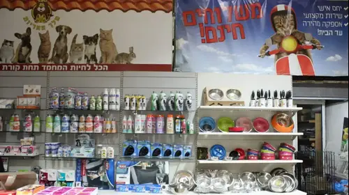 מלך האריות (יח"צ) מלך האריות (יח"צ)