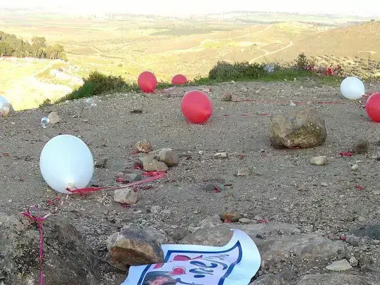 בחור שהציע נישואים לבת זוגתו השאיר פסולת ביער הנשיא, ינואר 2012 (צילום מסך , פייסבוק)