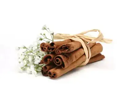 מקלון קינמון (ShutterStock)