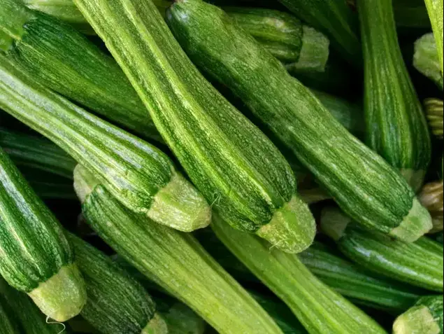 קישואים (ShutterStock)