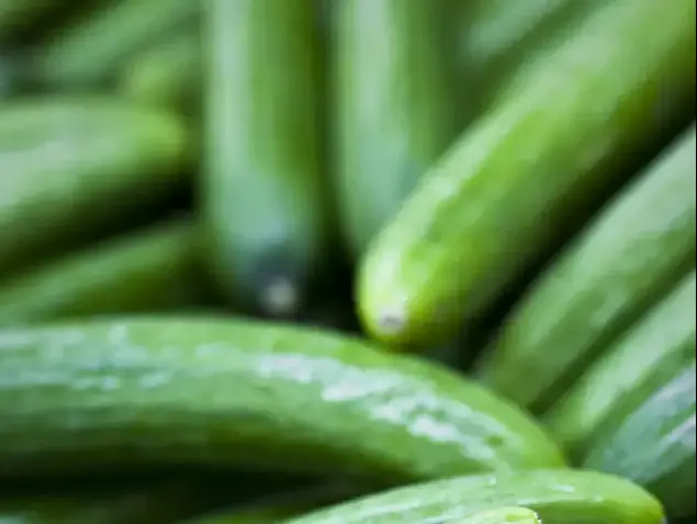 מלפפונים (ShutterStock)