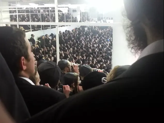 חסידות גור (מערכת וואלה! NEWS , משה גלנץ)