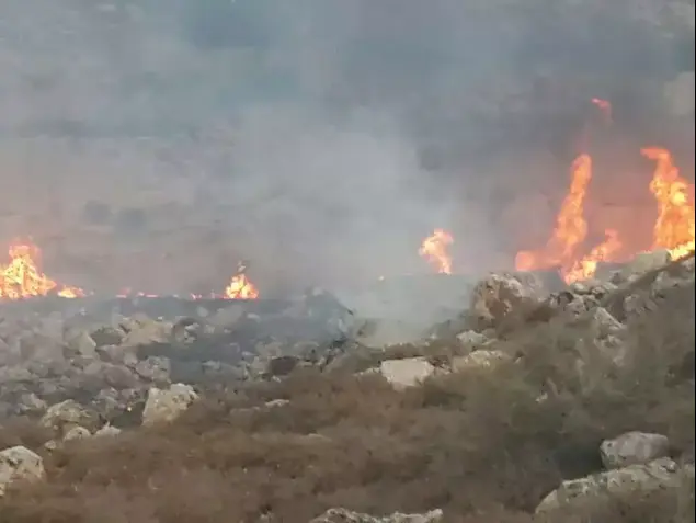 שריפה ליד אפרת בשל פגיעת רקטה, יולי 2014 (חטיבת דובר המשטרה)