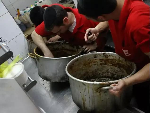 צ'ולנט בחמישי בלילה (מערכת וואלה! NEWS , בועז בן ארי - חרדים 10)