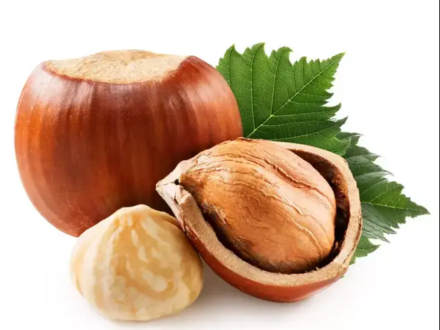 אגוזי לוז (ShutterStock)