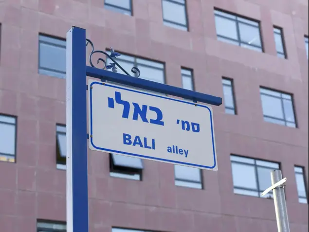 סמטת באלי, אור יהודה, יולי 2015 (ראובן קסטרו)