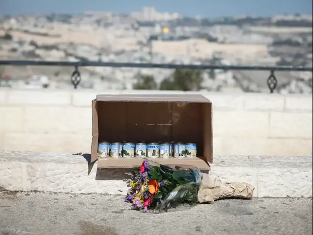 משאית דיפלומטית נגד הטרור, זירת פיגוע הדריסה בטיילת ארמון הנציב, ירושלים. ינואר 2017 (נועם מושקוביץ)