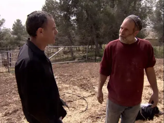 רועי שרון (יח"צ)