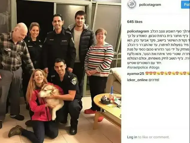 כלבים מקרית טבעון נגנבו תמורת כופר והוחזרו לבעליהם (מערכת וואלה! NEWS)