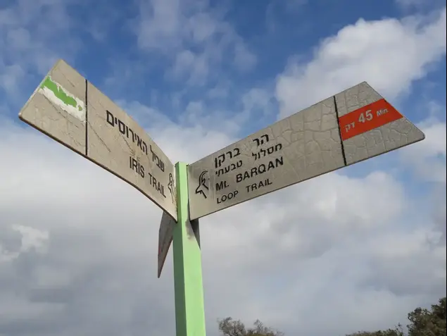 טיול מסלול צעדת הגלבוע (מערכת וואלה! NEWS , זיו ריינשטיין)