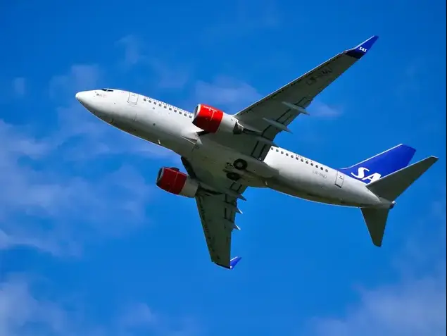 מטוס חברת SAS (ShutterStock)