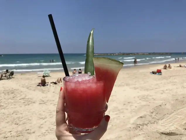 קאליפסו (מערכת וואלה! NEWS , יעל לאור)