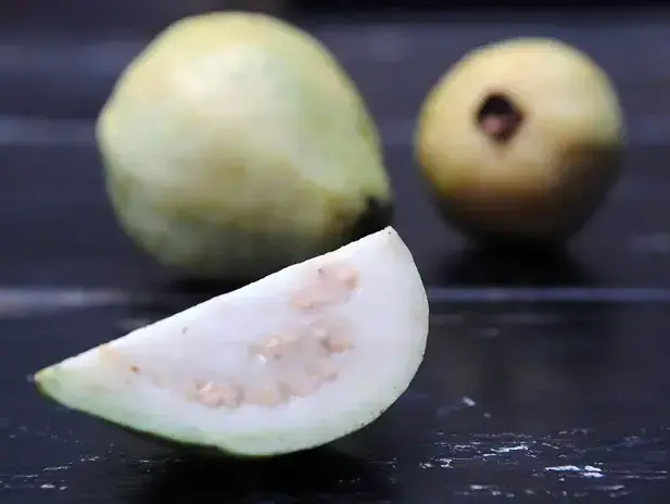 גויאבה (ברני ארדוב)