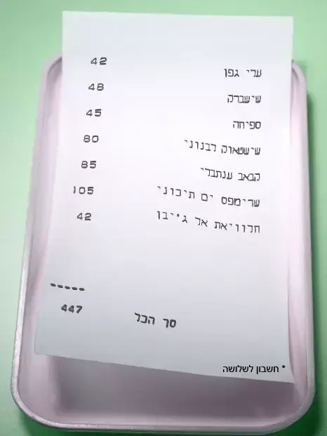 אבי אפרתי חשבון מגדלנה (מערכת וואלה! NEWS)
